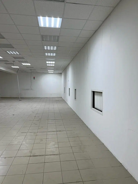 Торговое помещение, 310 м²