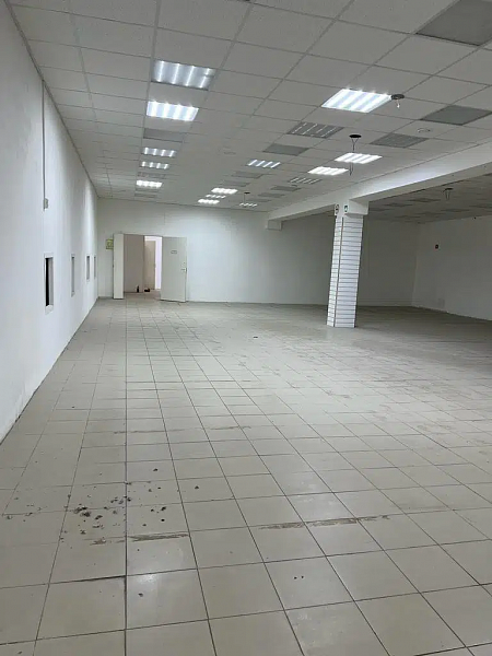 Торговое помещение, 310 м²