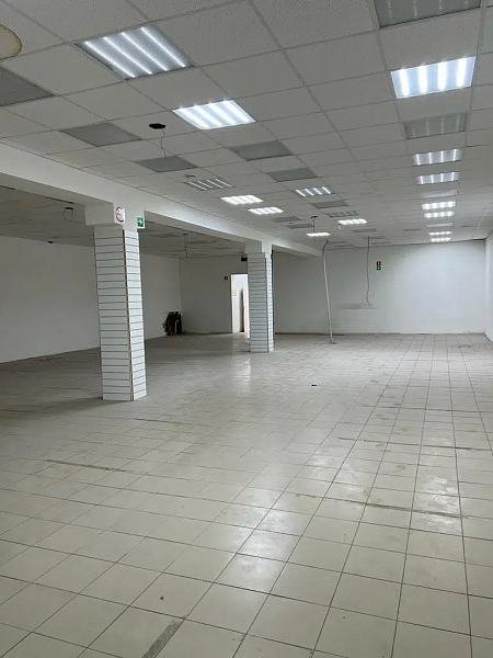 Торговое помещение, 310 м²